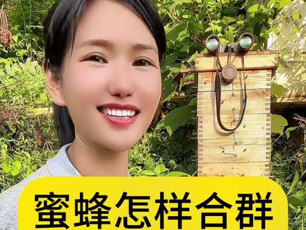 蜜蜂如何合群不打架,蜜蜂怎样合群最简单成功率最高#蜜蜂 #养蜂人 #蜜蜂养殖 #三农流量扶持计划 #马蜂 @抖音创作者中心 @DOU+小助手 @D@创作灵感小助手 @抖音小助手