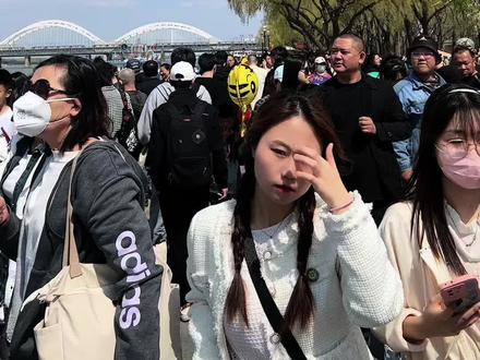 清明小长假来哈尔滨应该怎么玩,咱们从衣、食、住、行4个方面一个视频给大家全部整理好#哈尔滨旅游攻略 #清明小长假哈尔滨旅游攻略 #清明节小长假 #哈尔滨旅游团 #哈尔滨旅游穿搭