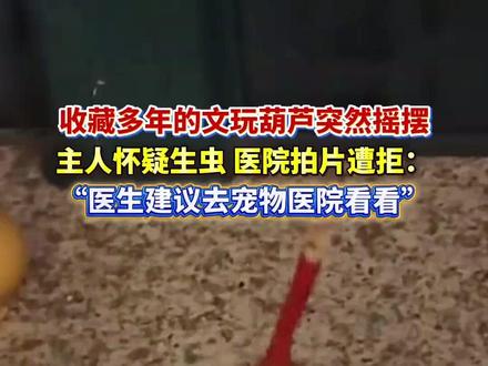 当文玩葫芦突然“摇摆” 难道葫芦娃要出生了吗 #葫芦 #文玩 #葫芦娃