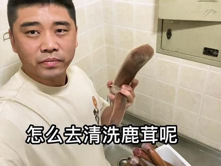 如何清洗鲜鹿茸?#鹿茸 #梅花鹿茸 #吉林梅花鹿