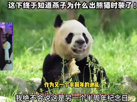 燕子以全球游侠的名义守护了国宝秦川 此次熊猫时装也是为了公益 #燕云十六声 #燕云说书人计划 #这下可要燕入味了 #燕云熊猫大量出没
