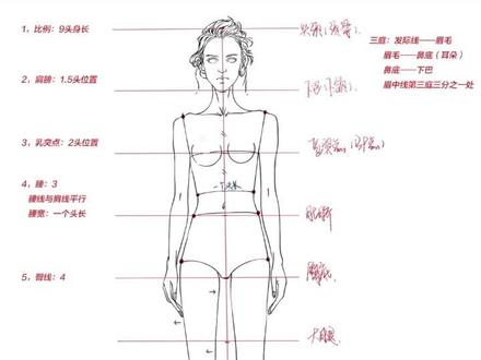 服装设计手绘学习:人体结构比例重点详解#服装设计 #服装设计手绘 #时装画手绘