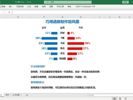 巧用函数制作旋风图 #excel技巧 #图表 #旋风图