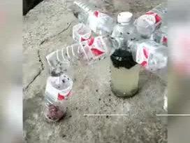 高手在民间!小伙用矿泉水瓶自制捕蝇神器。网友:快去申请专利!