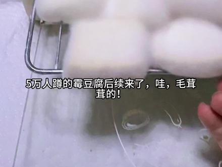 自制霉豆腐后续来啦!#霉豆腐 #霉豆腐制作 #霉豆腐美食 #终于和朋友卖上霉豆腐了 #万物皆可霉豆腐