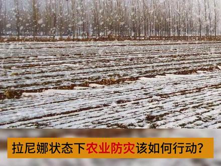 拉尼娜来袭,农业如何见招拆招?这份“防灾指南”请收好! #拉尼娜 #拉尼娜现象 #农业种植