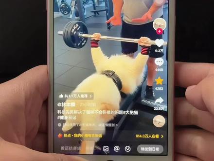 猫ai健身一键生成入口
猫ai跳舞一键生成入口
一键生成ai健身照
猫咪健身ai视频
猫咪健身ai特效生成
猫咪健身ai特效教程
猫咪健身ai特效生成
猫咪卧推ai特效生成
猫ai健身一键生成入口
猫咪举哑铃ai
猫咪健身ai
我的小猫有多听话 猫咪举哑铃ai,猫咪健身 AI,猫咪健身,猫咪跳舞 ai特效 猫咪健身练出一身肌肉,#即梦ai ,#猫咪健身ai特效生成 ,#猫咪健身ai视频 ,#猫卧推视频ai ,#猫咪健身ai特效教程 ,猫咪健身ai特效生成,猫咪ai特效生成,猫咪健身ai图片,猫咪ai特效生成打拳,猫卧推100公斤视频,猫卧推,猫卧推的健身图,猫咪健身ai视频,猫咪健身,猫咪ai特效最近很火的衣服,猫卧推视频ai,猫卧推视频,猫卧推图片,猫式卧推,猫哑铃卧推视频,猫咪健身ai特效教程,猫咪健身ai特效教程,猫咪健身ai图片,猫咪健身 ai视频,猫咪ai特效生成,猫咪ai特效健身,猫举杠铃图片,猫俯卧撑视频,猫咪健身 AI,猫咪健身图片,猫咪特效ai生成猫卧推视频,健身猫咪特效恶搞 健身日记