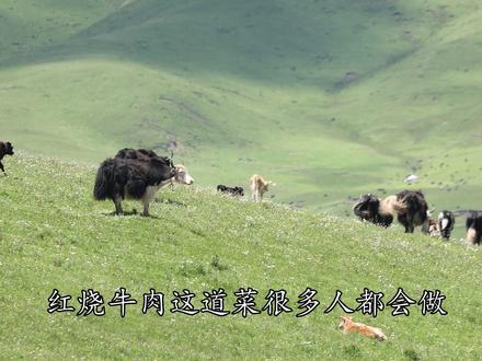 四川传统红烧牛肉香而不腻辣而不燥的秘诀,这几点你可能不知道#红烧牛肉 #川菜 #家常菜