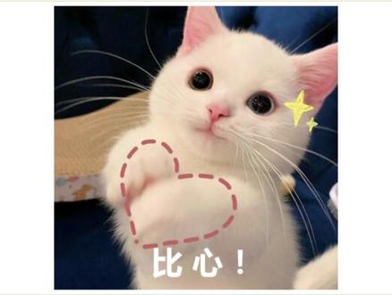 《顶级克制》#顶级克制 #番茄小说