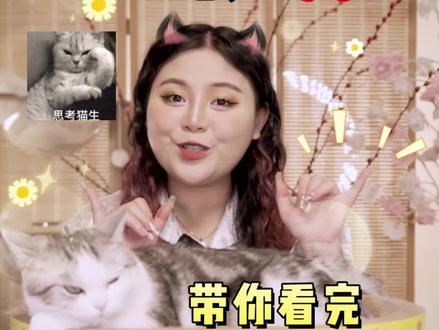 猫咪年龄还能跟人类对照,看看你家猫咪几岁 #科学养宠攻略 #新手养猫 #铲屎官的乐趣 #猫 #猫奴十三