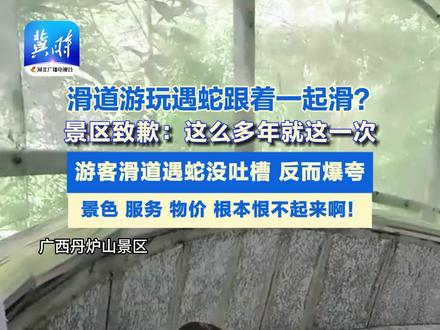 滑道游玩遇蛇跟着一起滑?景区致歉:这么多年就这一次。游客滑道遇蛇没吐槽,反而爆夸,景色、服务、物价,根本恨不起来啊!#广西丹炉山 #滑道遇蛇