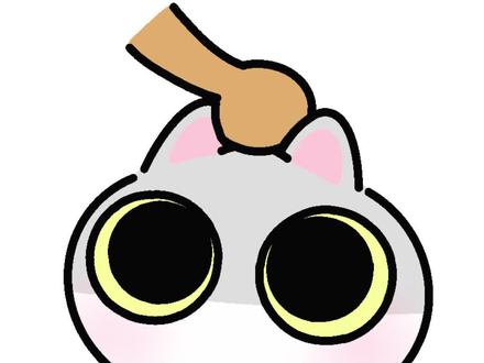 第三弹它来啦 #呆猫八条 #淑熊 #表情包 #动画 #治愈系