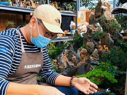 火山浮石,非常神奇的石头。被我用来做成山水,发到全国各地。#真山水园艺景观 #假山流水 #盆景艺术 #山水盆景#山石盆景