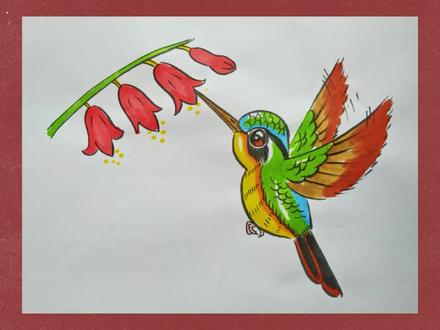 【手绘动物】画一只可可爱爱的蜂鸟#画画#绘画教程 #绘画#动物#蜂鸟 #美术 #儿童画