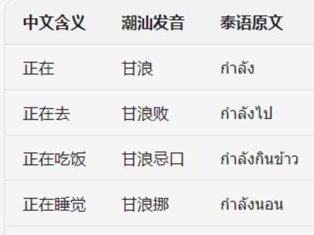 潮汕人出差泰国居然要学“甘浪”?? #00后运营 #潮汕话 #潮汕 #职场干货