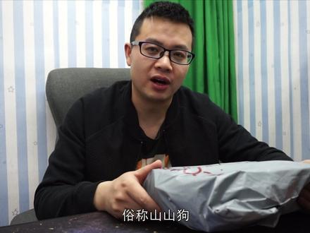 经典运动相机山狗SJ4000,超出意外的好!