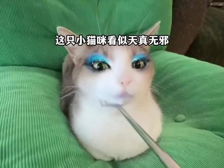 你知道彩虹猫病毒吗#网络安全#计算机#程序员#黑客#彩虹猫病毒