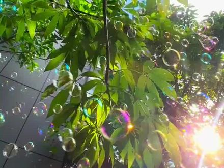 别惹我了 小心我勃然小怒 小发雷霆!(音频来源于@𝑇.木木墩🌪️ 每晚直播时间21:00)#听潮阁木木墩 #木木墩 #龙卷风的快乐屋 #听潮阁四周年1460同频玩家 #听潮阁二创