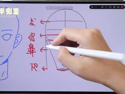 一口气学会各种头部画法【绘画教程】 #画画 #绘画教程 #零基础学画画 #人体教程 #绘画