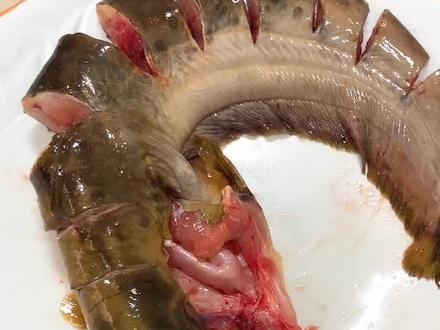 随便弄哈,第203次。粉蒸鲢鱼。了解一下。