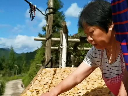 野生的梨,一顿操作,采摘,去皮,洗净,切片,蒸熟,晒干,再蒸,再晒,成就一道美味的零食。#乡村味道 #新农人计划2021 #宝藏古村 #梨