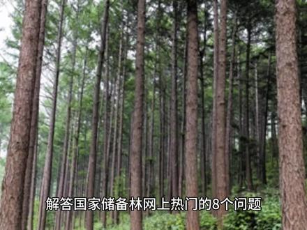 解答国家储备林网上热门的8个问题(五)储备林每亩补助和赔偿?