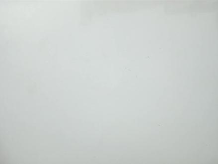 nerf肥料处理之一个恐龙