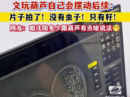 文玩葫芦会自己摆动后续来了:片子拍了,没有虫子,只有籽!#沈阳 #文玩葫芦