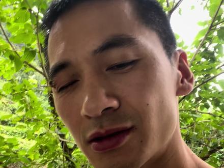 哐之巨人失误版!#农村养蜂人