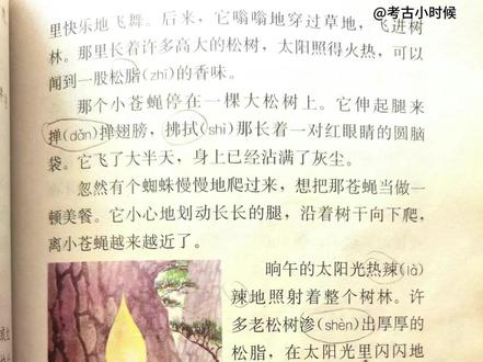 《琥珀》柏吉尔:松脂继续滴下来,盖住了原来的,最后积成一个松脂球,把两只小虫重重包裹在里面。#课文朗读 #治愈系 #小学语文 #课本插图 #8090后