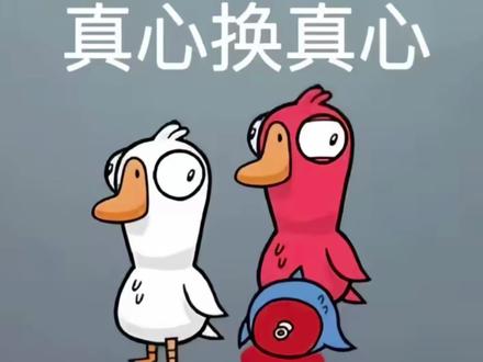 真心换真心吗还是在等cd#鹅鸭杀 #鹅鸭杀演技大赛#鹅鸭杀有多好玩