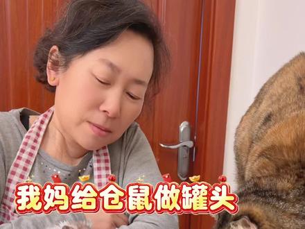 姥姥说猫猫有的鼠也得有! #给萌宠过年支个招#宝贝年味企划#万物可爱计划 #蔡可爱爱仓鼠 #我的仓鼠搭子