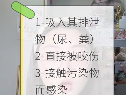 仓鼠又背锅了?汉坦病毒到底怎么个事儿? #养仓鼠必看 #互联网碎碎念 #养宠进阶 #仓鼠饲养手册 #金丝熊零食