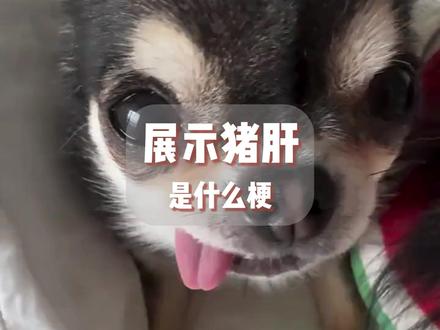 展示猪肝是什么梗?#抽象 #搞笑 #梗