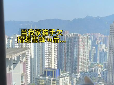 是特效啦、是特效啦、小猫没事、蜜蜂也马上飞走啦~ #金牌育言家#聪明小脑袋国宝也可AI #了不起的未来洗衣科技#费启鸣骨子里的念旧