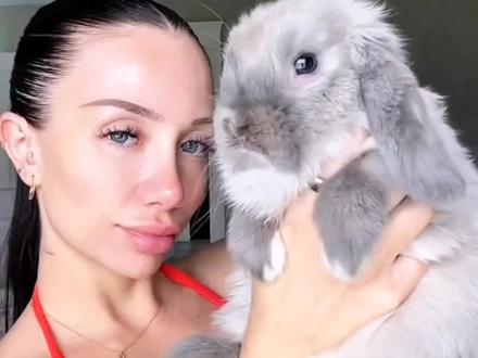 垂耳兔:兔兔也有小脾气哟 #动物科普 #知识科普 #兔子 #垂耳兔