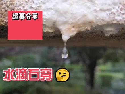 滴答滴答惊现钟乳石✨😯💨🤯🤩#奇怪的知识增加了 #钟乳石 #生活 #随拍 #狗狗