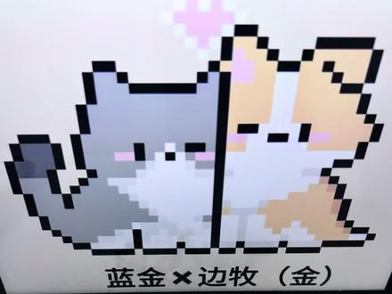 今天拼猫狗贴贴
图纸来源🍠:祝佩君
#闺蜜挂件 #拼豆挂件 #情侣挂件 #拼豆 #拼豆图纸