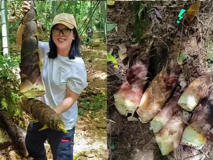 谁还在城里等春天啊! 福州人都去山里挖春笋了 🌱
市区出发 30分钟直达
满地胖笋,新手也能挖到爽
去了四次的真爱粉在此!这份N刷攻略已就位,准备出发的宝子快抄作业 📝#城野两栖 #我的城野徒步日记 #不小心发现了城野宝藏路线 #春天就要出去野 #周周爱户外