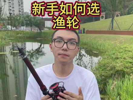 新手如何选渔轮#海竿 #超远投海竿
