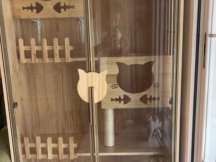 流浪猫都住上大别墅了,你家猫咪要不要也来一套,可私人订制,视频同款几百块上门包安装值得拥有#猫咪 #萌宠 #宠物 #猫柜 #猫别墅