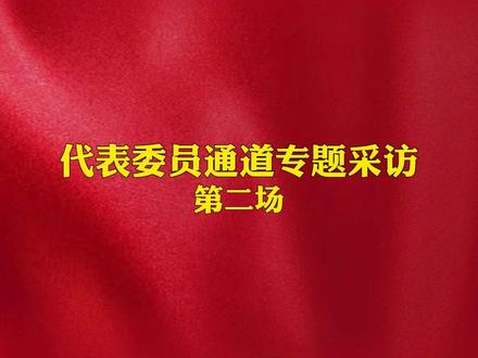 代表委员通道专题采访第二场#玉林
