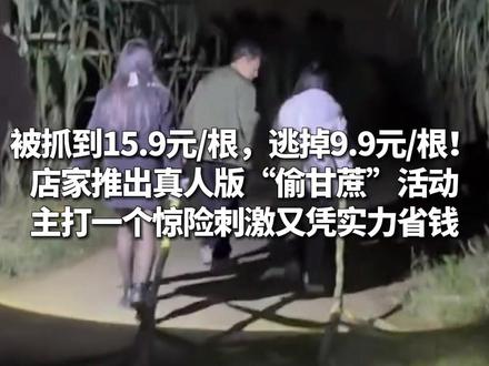 被抓到15.9元/根,逃掉9.9元/根! 店家推出真人版“偷甘蔗”活动,主打一个惊险刺激又凭实力省钱。(来源:华龙网)#甘蔗