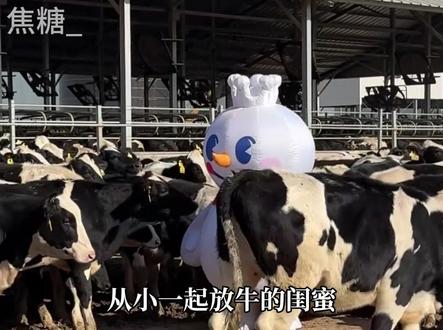 雪王出征北美,入乡随俗,200%全糖套餐甜晕漂亮国。 #雪王 #国货之光 #蜜雪冰城 #美国 #万万没想到