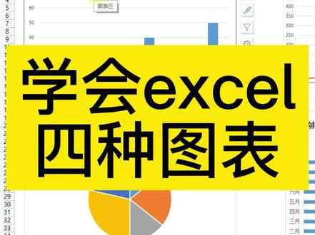 excel中柱状图、折线图、饼形图、条形图使用介绍 #excel技巧 #excel教学 #excel