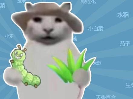 农作物图鉴第一期:来点冬虫夏草?#QQ经典农场 #原汁原味马上偷菜