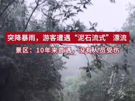 突降暴雨,游客遭遇“泥石流式”漂流,景区:10年来首遇,没有人员受伤