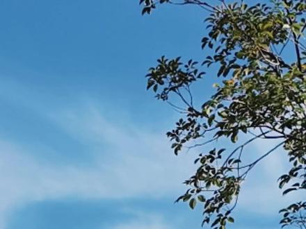 两款荣耀机应该怎么选??! #荣耀 #无广纯分享 #横测 #手机怎么选
