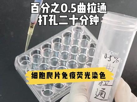 铁打的实验室流水的爬片#免疫荧光 #细胞爬片 #实验室日常 #mdl科研助手 #科研 @DOU+小助手