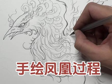 热爱会让明天更好 #凤凰#画个凤凰